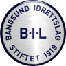 Bangsund IL Logo